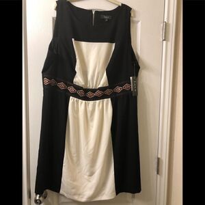 Lux II womens dress size 20W